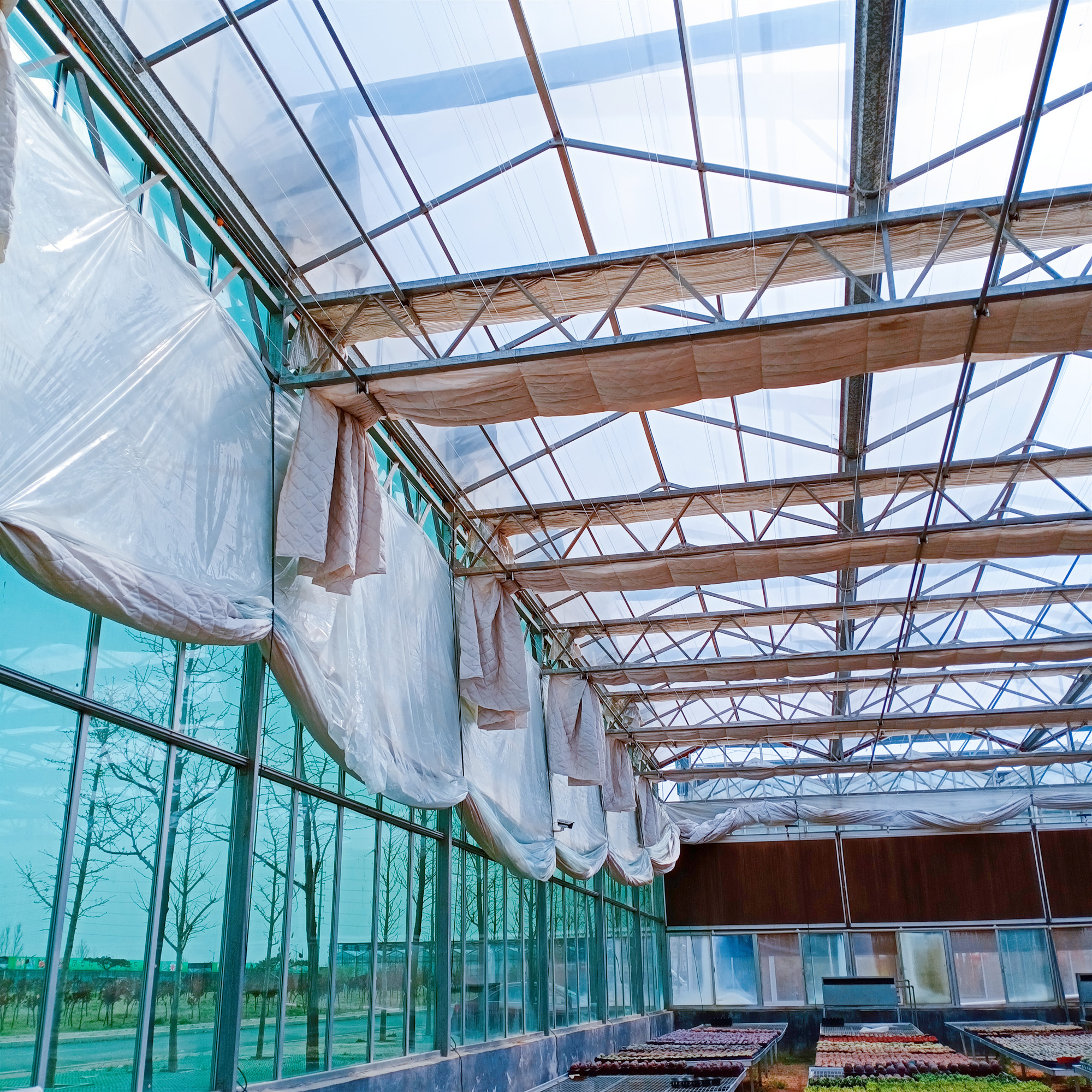 江苏无锡单双层玻璃温室大棚加工 养殖温室大棚按需定制 新型智能玻璃温室通风系统设计9