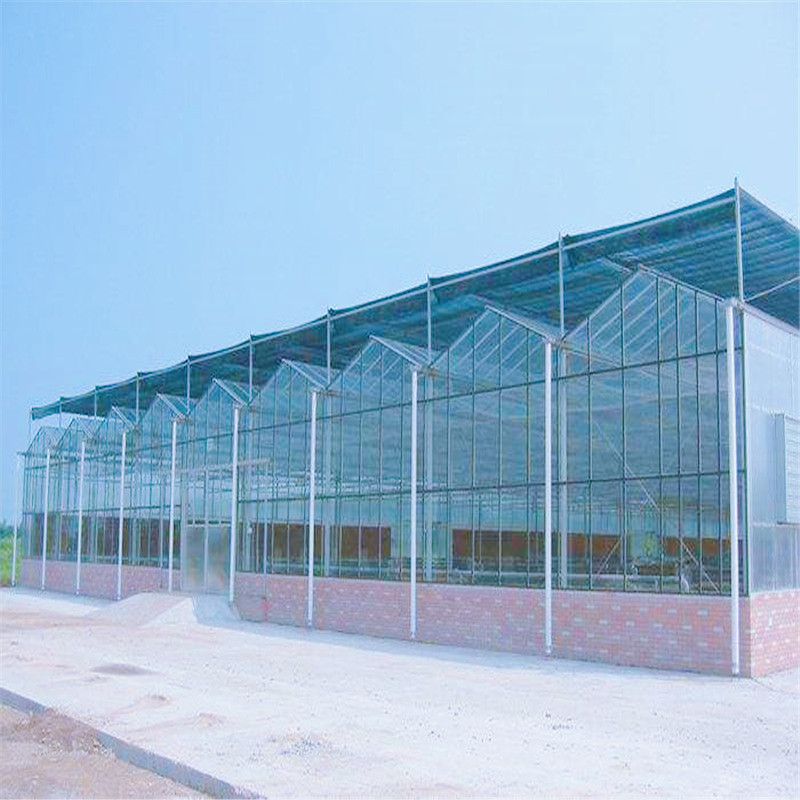 江苏徐州新型玻璃温室通风系统设计 智能玻璃温室全自动控温防虫设配批发 温室大棚农业养殖5