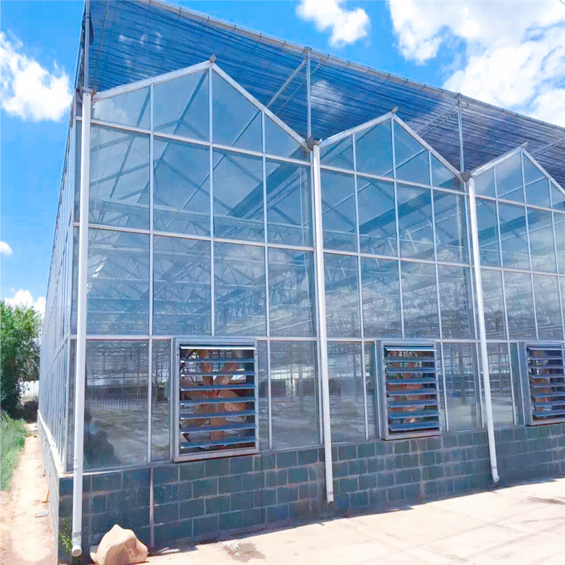 江苏徐州新型玻璃温室通风系统设计 智能玻璃温室全自动控温防虫设配批发 温室大棚农业养殖7