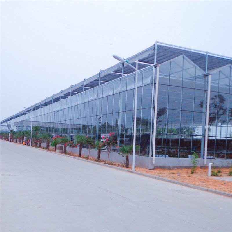 浙江杭州果蔬养殖专用温室大棚 可提供温室材料 连栋薄膜温室智能玻璃温室加工厂2