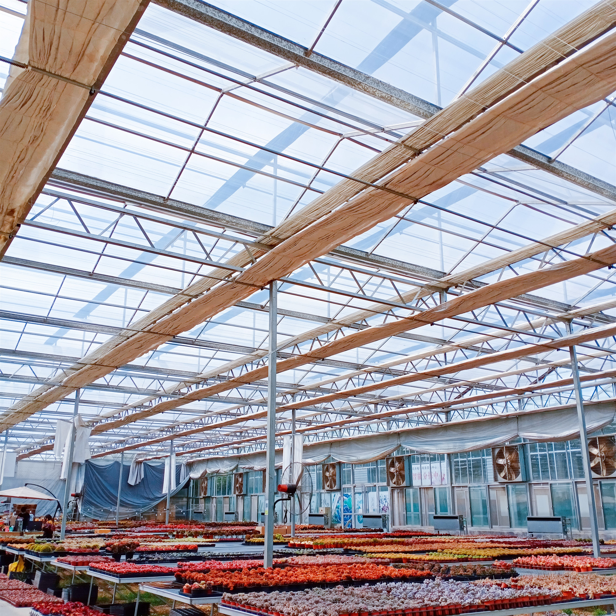 江苏无锡单双层玻璃温室大棚加工 养殖温室大棚按需定制 新型智能玻璃温室通风系统设计4