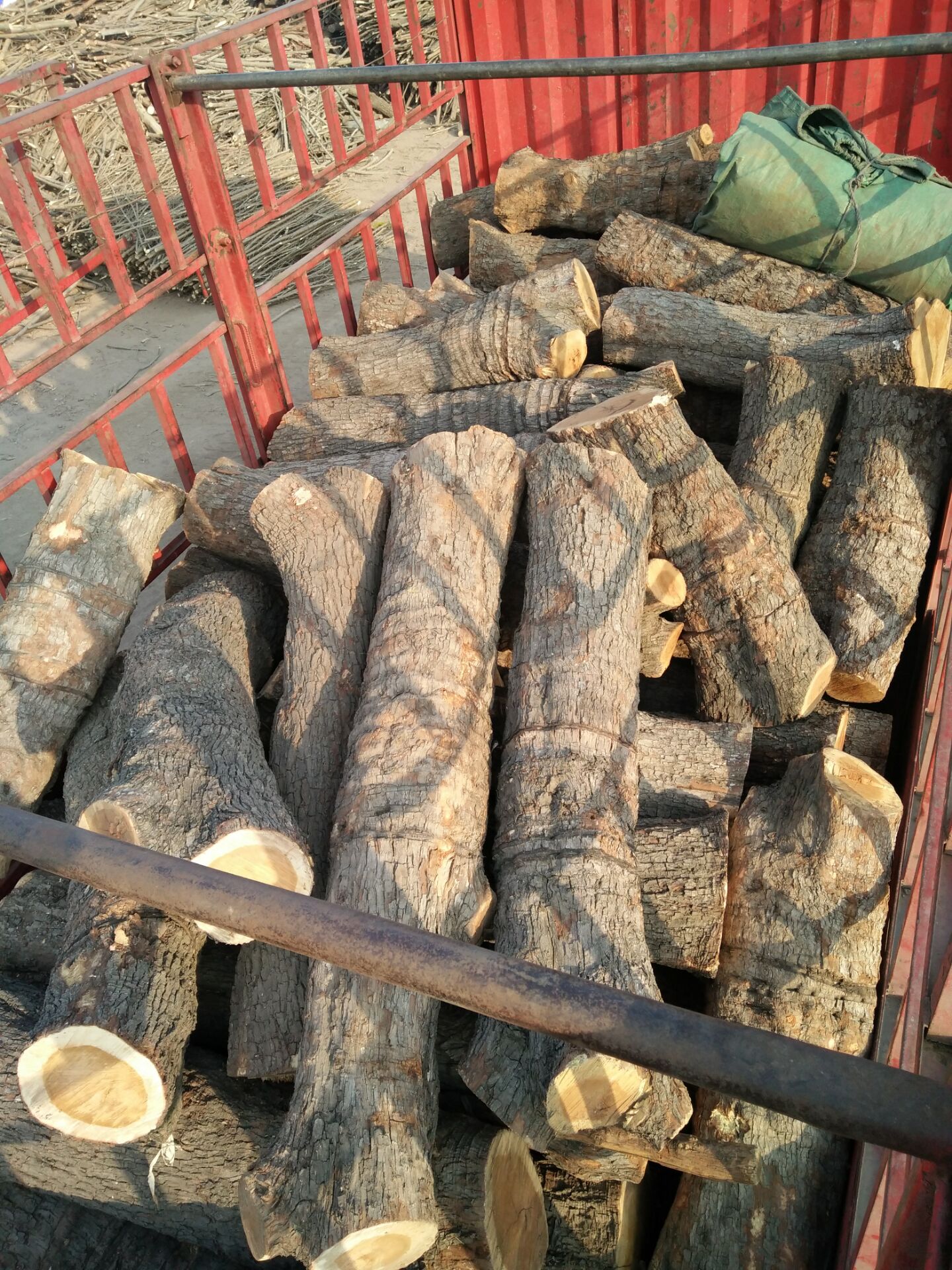 雕刻枣木 厂家直销工艺枣木 大直径枣木原木 直径15-40公分工艺枣木4