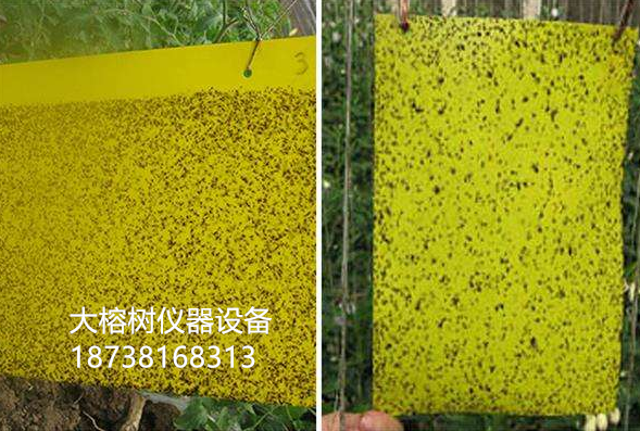 黄色粘虫板价格 其他农业用具 黄色粘虫板厂家1
