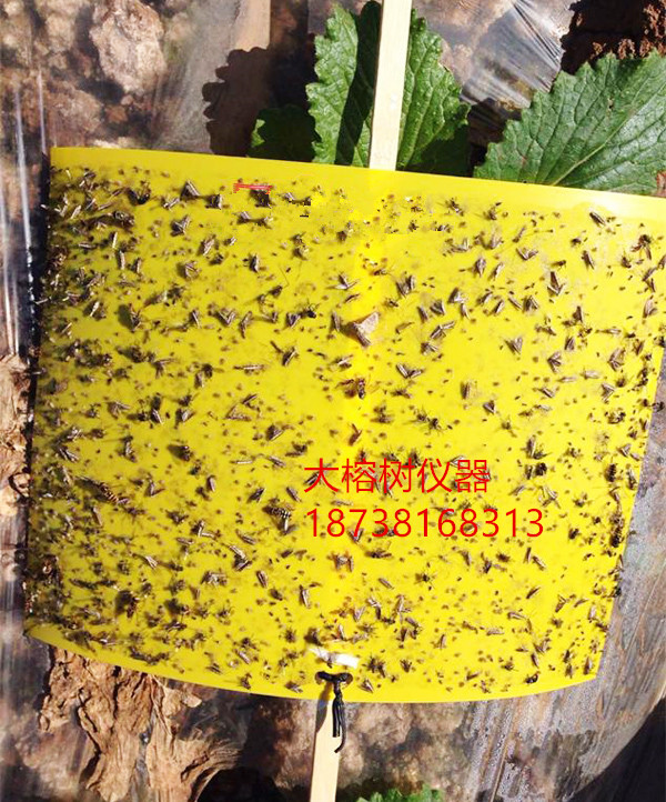 黄色粘虫板价格 其他农业用具 黄色粘虫板厂家5