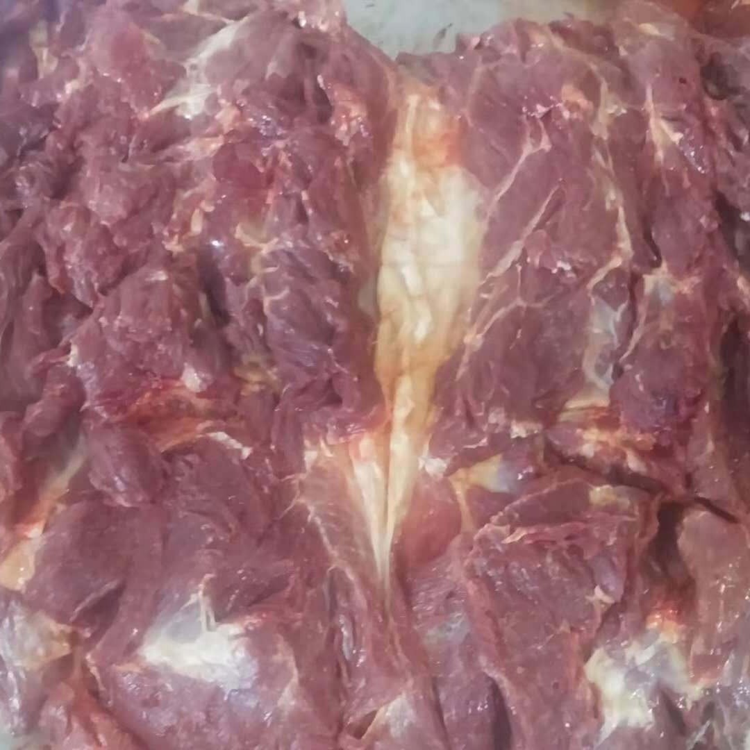 其他肉类 剔骨马肉草原散养 新鲜蒙古进口马肉四分体 蒙古国进口2