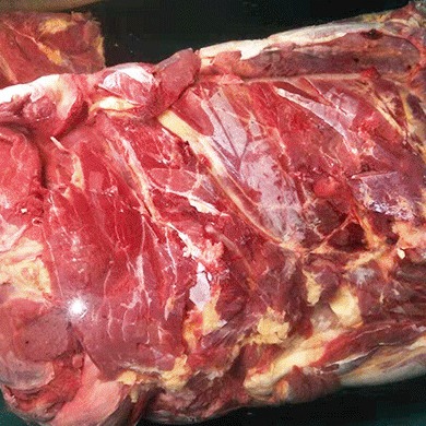 厂家直供进口马肉 卤肉专用 蒙古草原新鲜现杀剔骨营养 新鲜肋排1