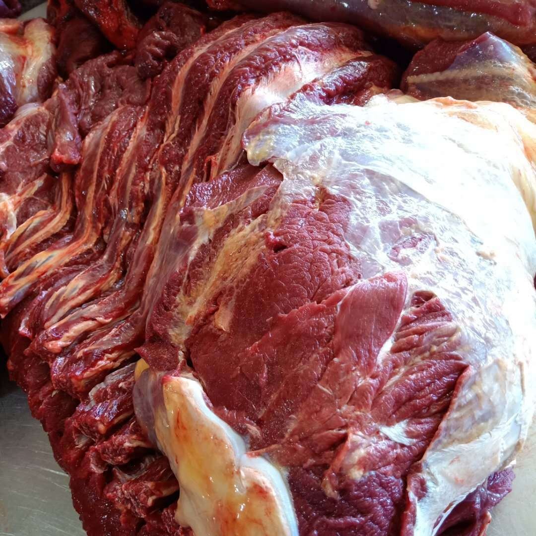 厂家直供进口马肉 卤肉专用 蒙古草原新鲜现杀剔骨营养 新鲜肋排