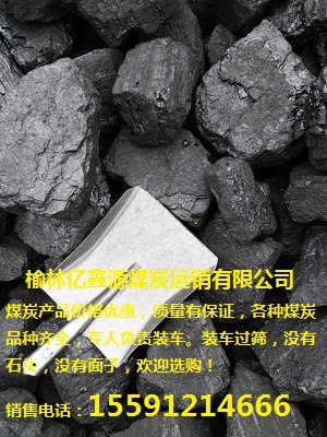 烟煤 亿鑫源煤出售低硫煤粉沫煤面煤49块13籽煤价格6