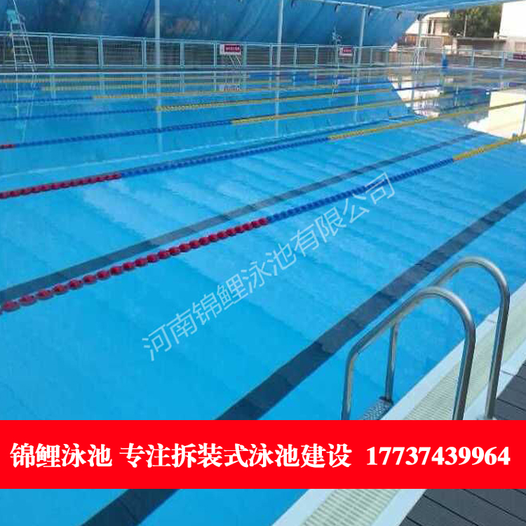 儿童游泳池设施 健身房泳池 组装式游泳池 锦鲤泳池JL-11