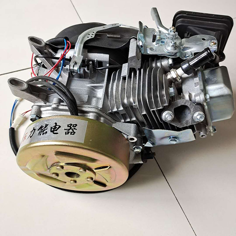 小型电动车老年代步车摩托车三轮车油电两用60伏3000瓦大功率电动汽车增加里程的发电机配件3