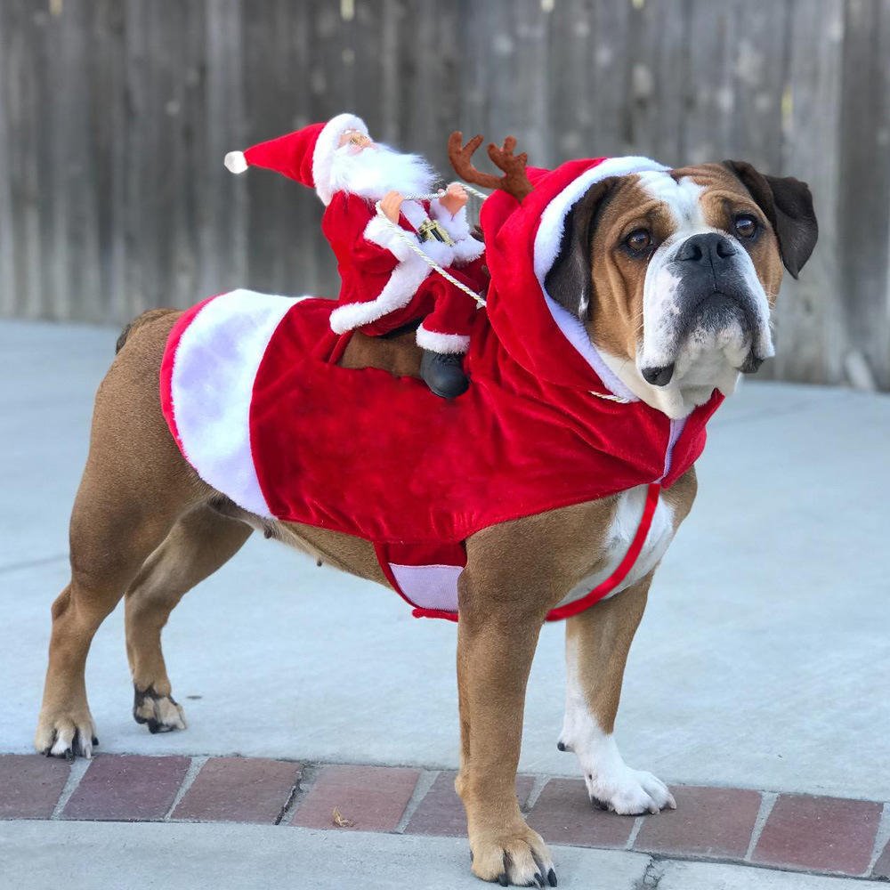 2019年宠物狗狗圣诞衣服圣诞老人骑鹿装狗狗变身装圣诞节爆款宠物衣服6