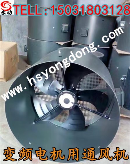 变频电机散热风扇 355电机基座号配用风扇 380V 衡水永动 轴流风机600FZL3-4W3