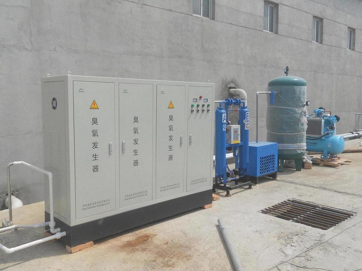 HLS-800g臭氧发生器批发 现货供应 污水处理专用臭氧发生器现货 济南海林1