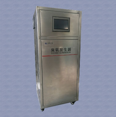 移动式臭氧发生器 臭氧机大中小型种类齐全 现货供应 HLK-30P 济南海林厂家3