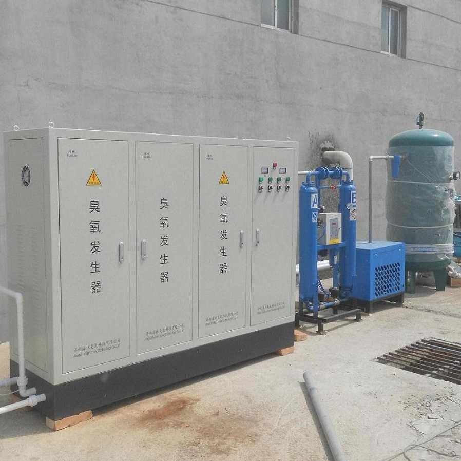 HLS-800g臭氧发生器批发 现货供应 污水处理专用臭氧发生器现货 济南海林3