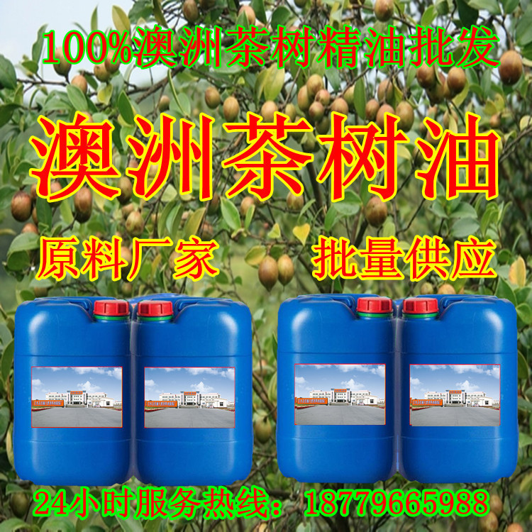 身体精油 厂家澳洲茶树单方精油批发 进口天然澳洲茶树精油供应3