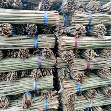 豆竿批发 2米-3米豆扦 2米-2米5豆角架 京西竹业 江西竹杆厂家发货