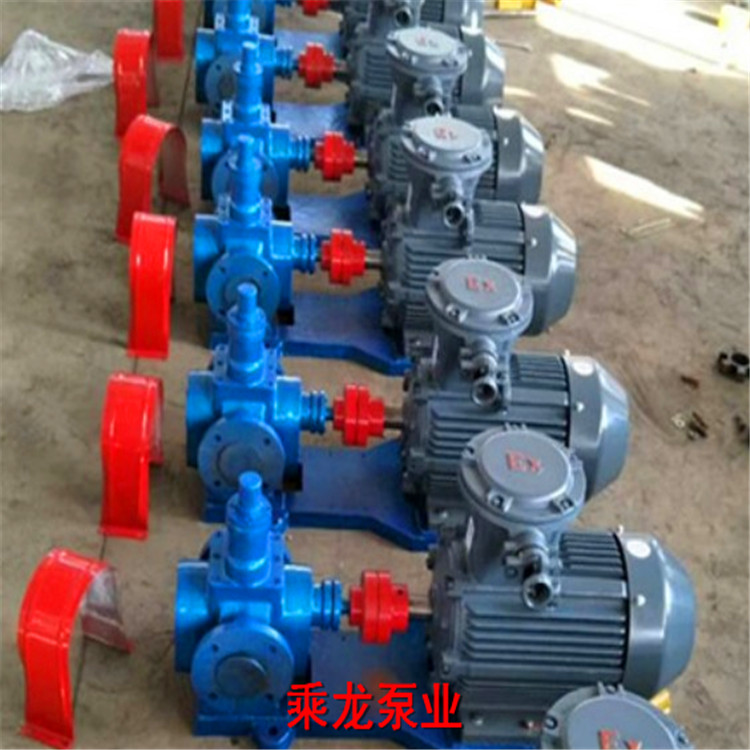 增压泵 厂家直销 YCB-10 不锈钢圆弧泵 0.6齿轮油泵4