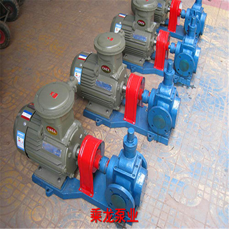 0.6圆弧齿轮泵 定制不锈钢齿轮泵 大流量齿轮泵 YCB25 厂家销售1