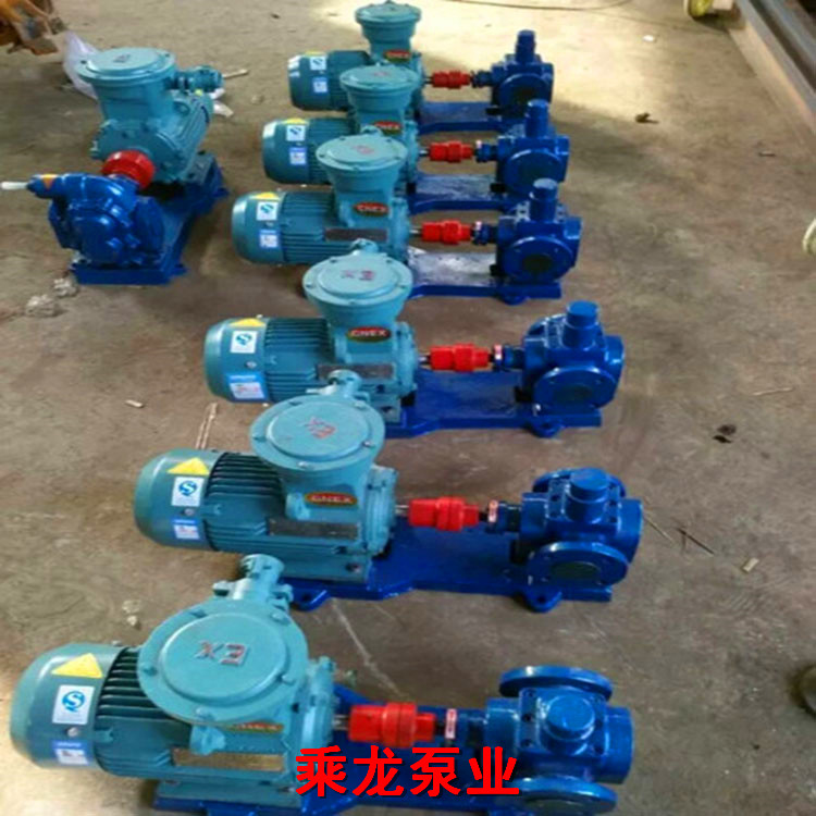 乘泵泵业 0.6大流量圆弧泵 直销 YCB-40 圆弧齿轮泵2