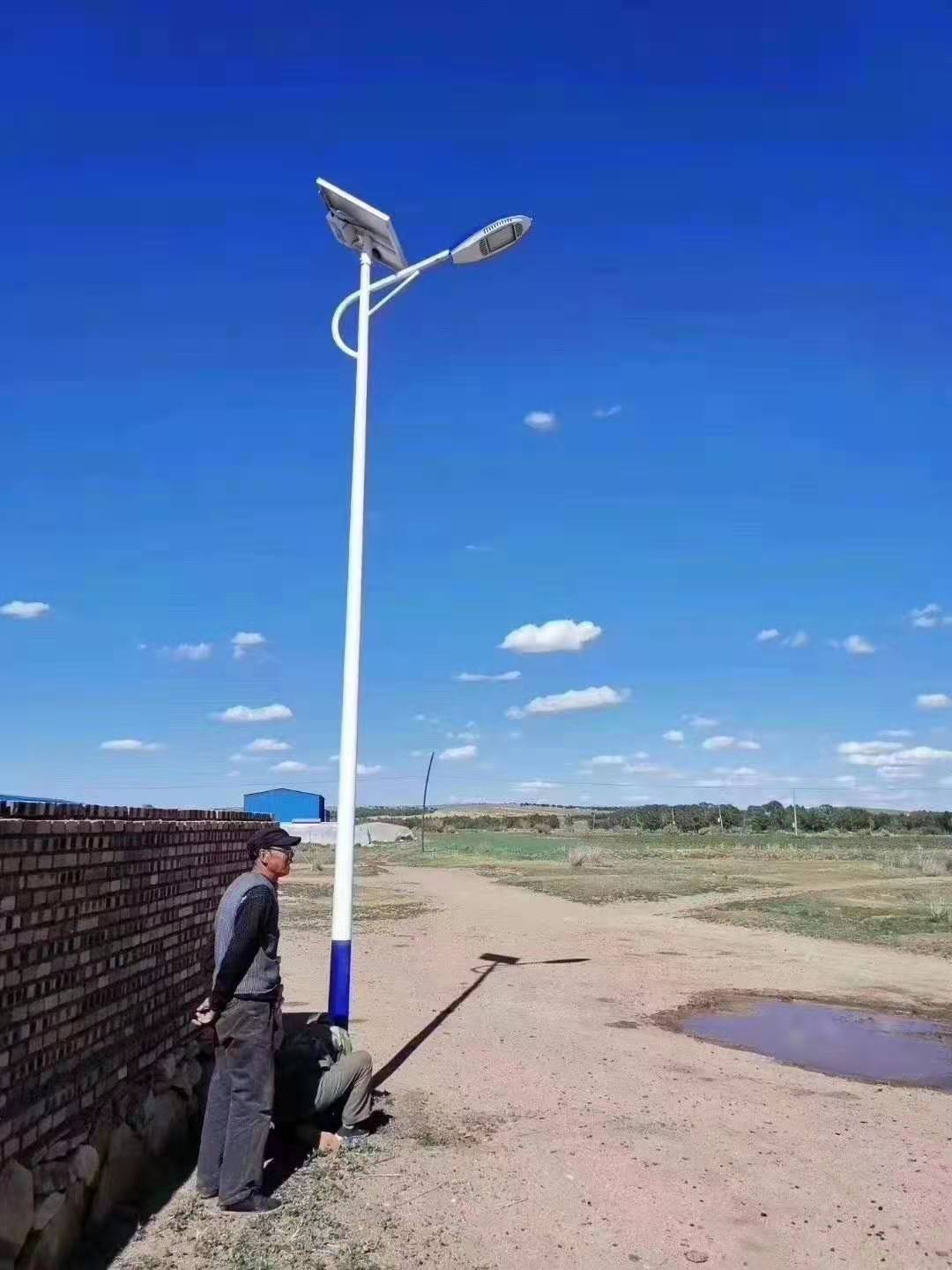 新农村风光互补太阳能路灯LED锂电池4米5米6米7米30瓦40瓦LED庭院灯景观灯太阳能路灯 厂家供应 西藏5
