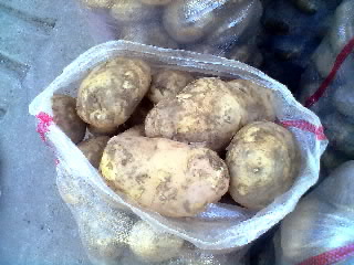 山西土豆晋薯16号个大皮薄芽眼浅淀粉含量高营养丰富 薯类3