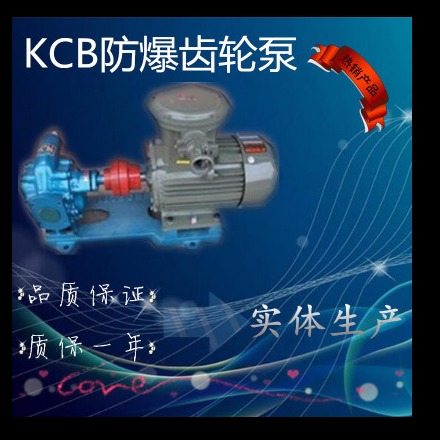 供应KCB防爆齿轮泵现货销售kcb防爆铜轮泵供应铜轮齿轮油泵