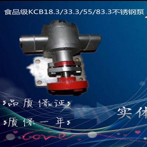 33.3 83.3 55 齿轮泵厂家直销小流量不锈钢齿轮泵型号KCB18.31