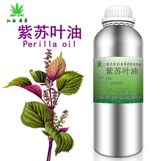 Perilla 厂家供应 单方精油 oil 香紫苏叶萃取 高品质 紫苏叶油5