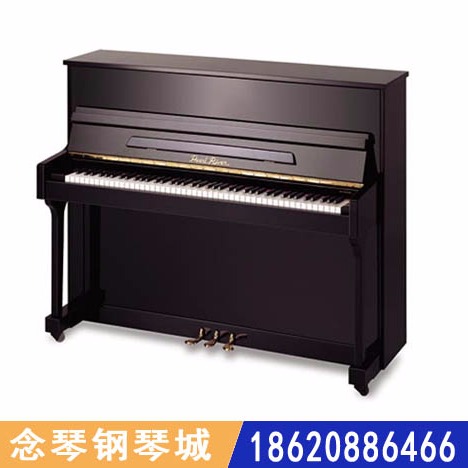 键盘类乐器 广州珠江钢琴专卖店