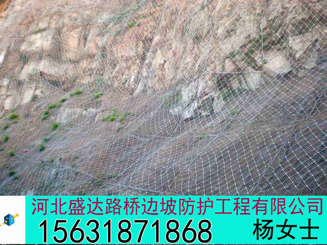 自然灾害防护 钢丝绳网片报价 护坡网