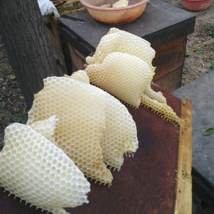 黄蜂蜡 化妆品级蜂蜡 块状蜜蜡 黄蜡量大从优 厂家直销颗粒蜂蜡 工业级蜂蜡1