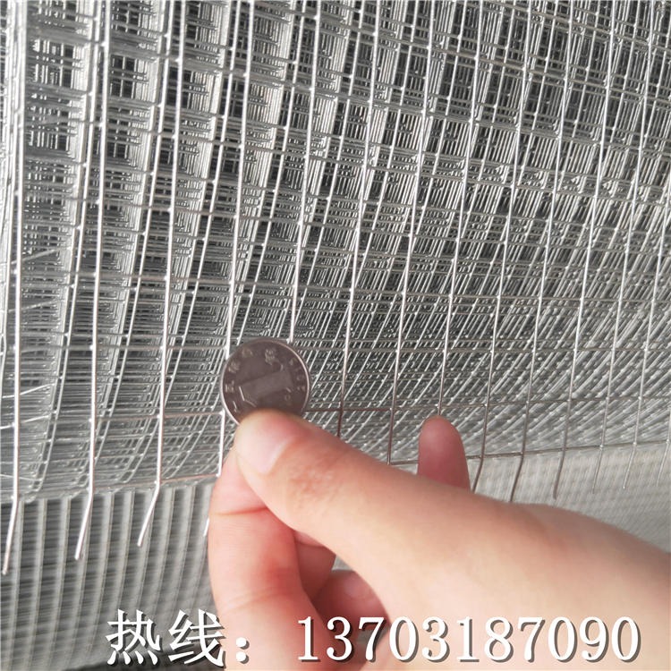 龙润专业生产电焊网卷 厂家直销定购 养殖铁丝网 镀锌铁丝网