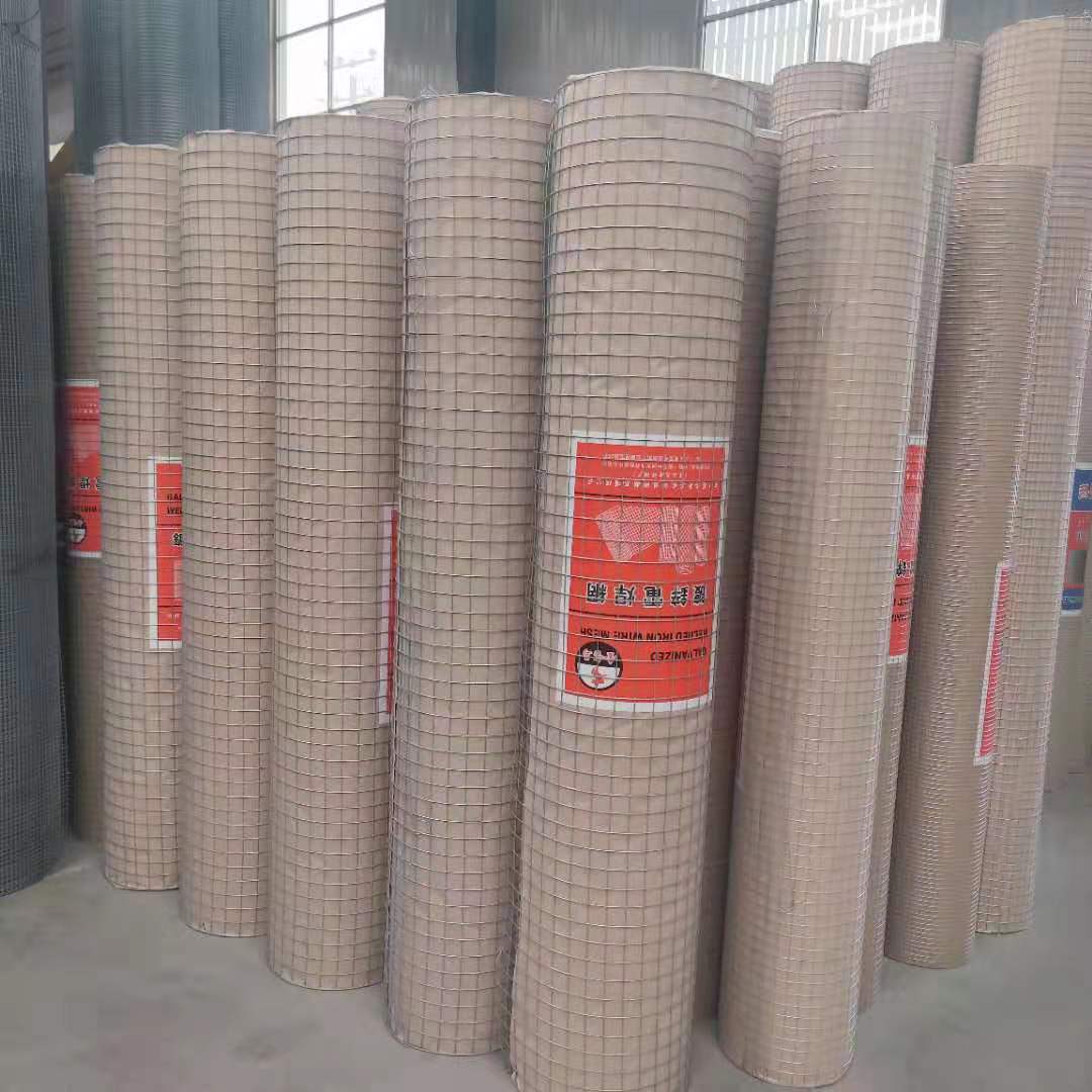 龙润专业生产电焊网卷 厂家直销定购 养殖铁丝网 镀锌铁丝网2