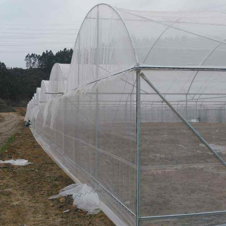 塑料防虫网 鑫隆蔬菜防虫网 防虫网价格 白色防虫网1