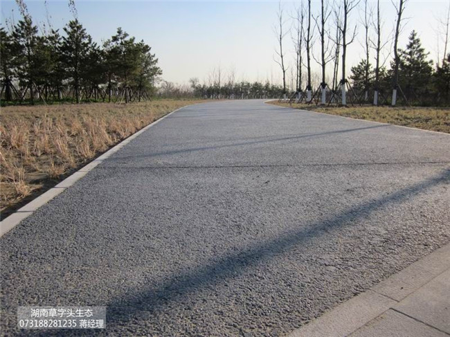 环保项目合作 湖南草字头生态沥青透水路面