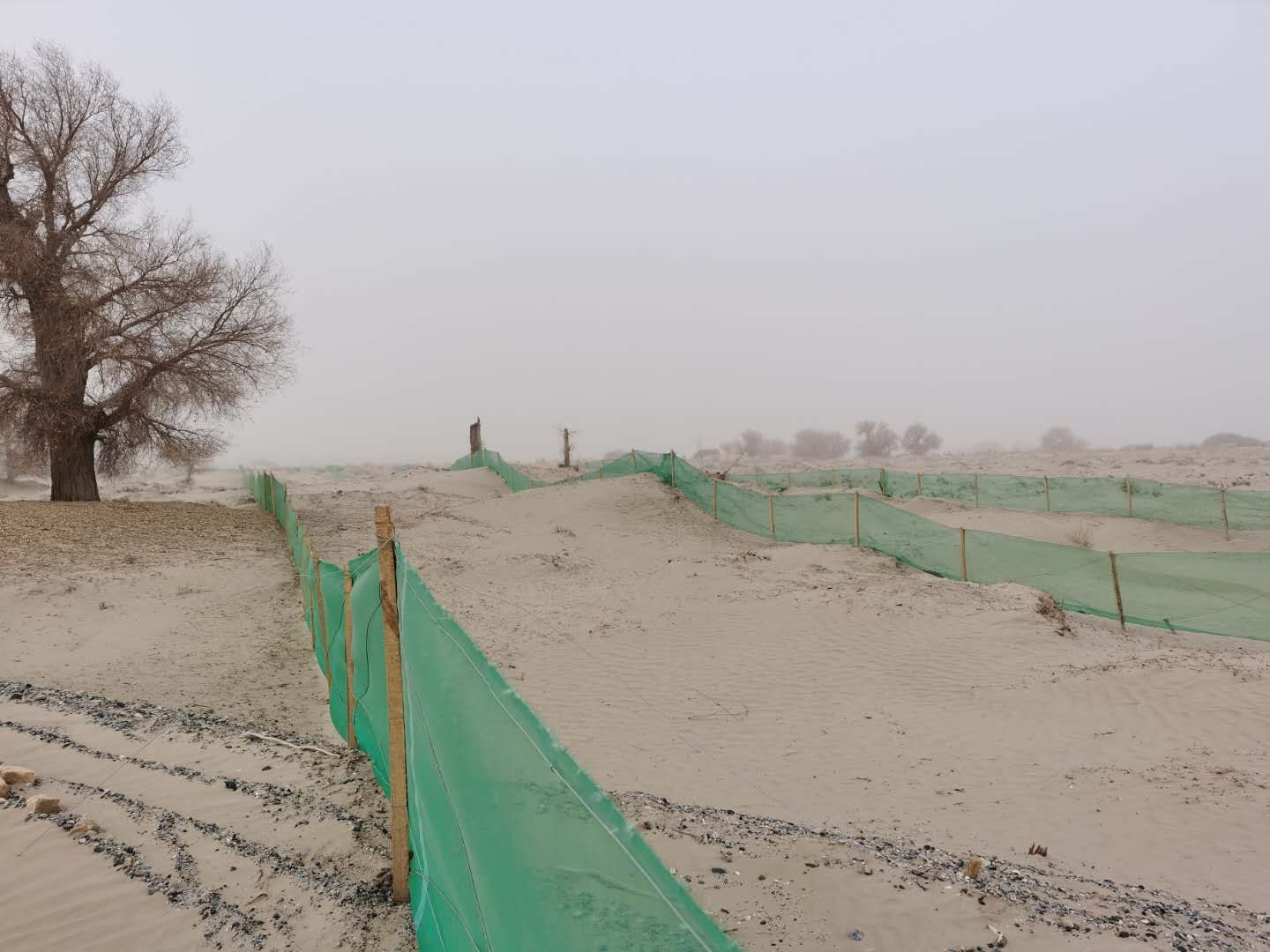 景盛接定制HDPE隔沙网 聚乙烯防风固沙障 聚乙烯隔沙网 沙漠防沙害固沙障3