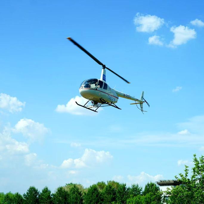 直升机婚礼 直升机测绘 飞机及配件 进口飞机 罗宾逊R44直升机8