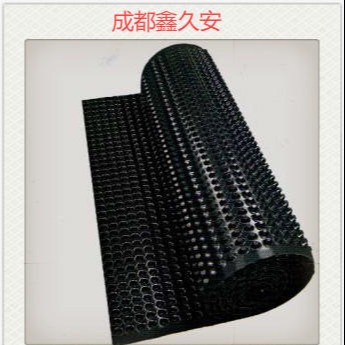 西安专业防水板 三维复合排水板 HDPE防水板 凹凸型塑料排水板1