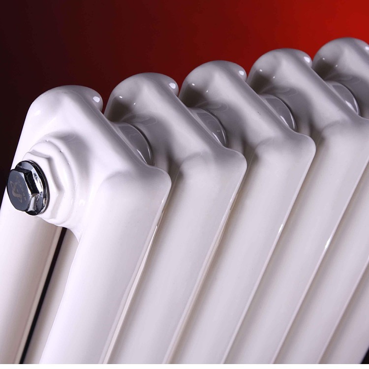 节能 钢二柱家用暖气片 冷轧低碳钢管 暖之源 承压能力1.6MP3