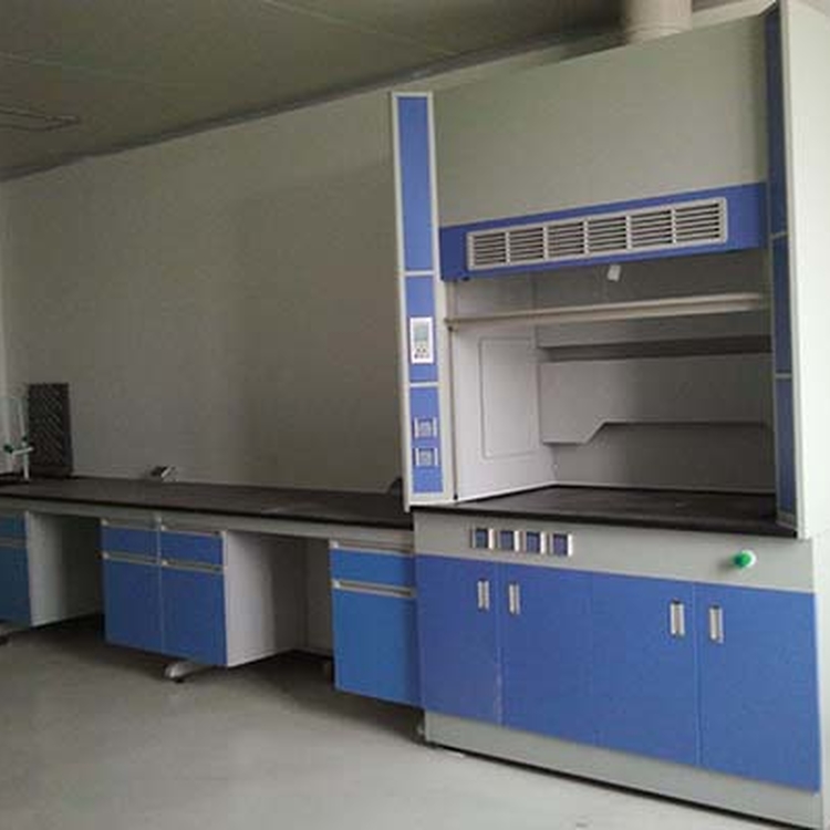 赛思斯 化验台环保局环境监测实验室 实验室设备 S-SG1自贡市钢木实验台1