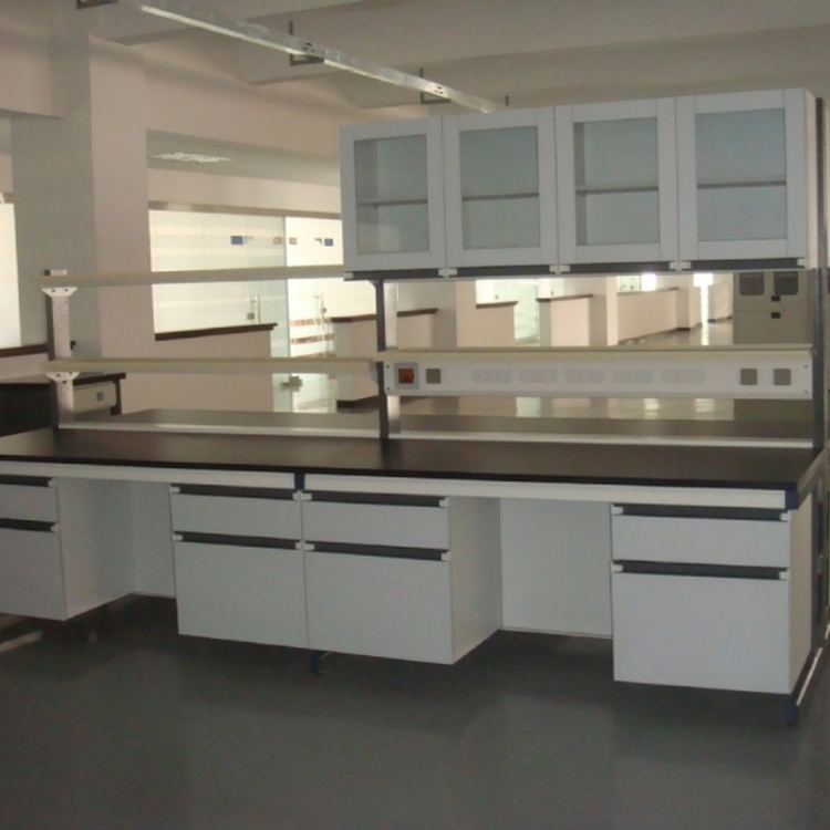 理化板实验边台承重性能好非标定制供应商 化验室家具 S-SG1自贡市钢木实验台 赛思斯