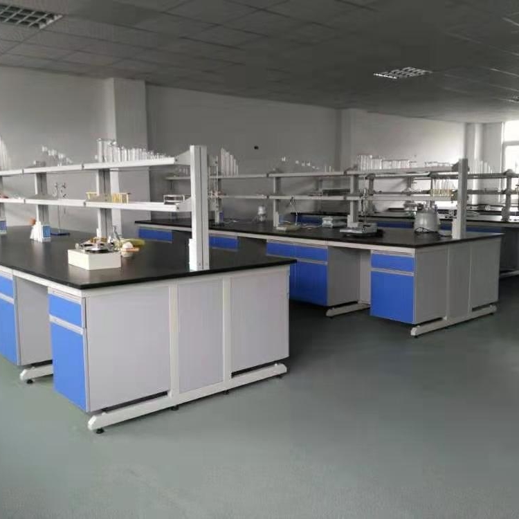 化验台刑侦 S-SG1达州市钢木实验台 实验室设备 DNA学校实验室 赛思斯2