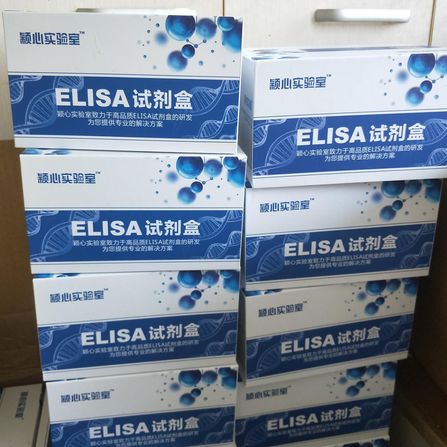 大鼠白介素10elisa检测测定试剂盒 生化试剂1