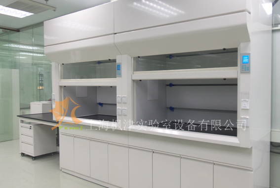 实验室通风柜 上海枫津实验室设备货号：FJ-TSTFG1-15003