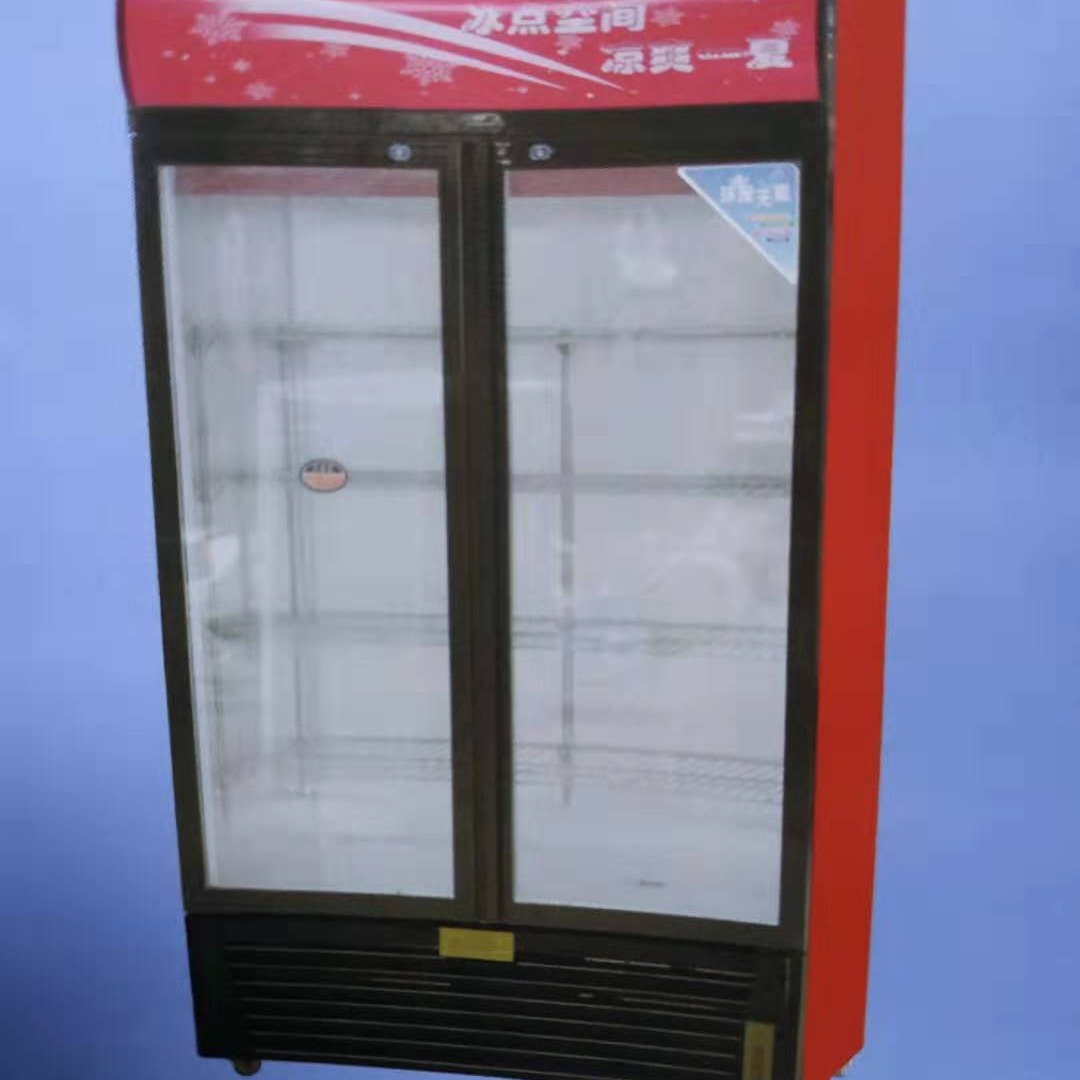 冷饮机 冷藏柜 立式展示冰柜 腾飞828M 冷冻食品加工设备3
