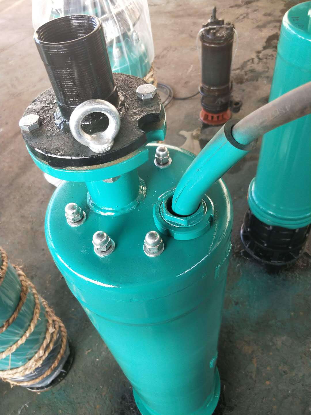 山西新源泵业 转子泵 WQX矿用工程下吸污水潜水电泵4