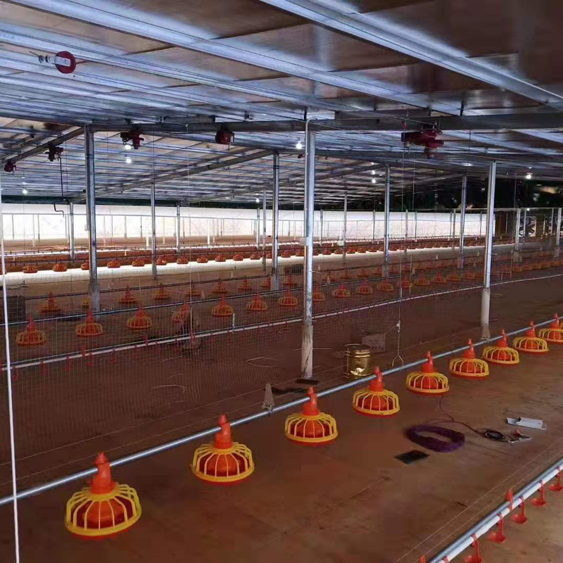 自动化养殖设备 自动上料设备 养鸡养鸡鸭猪料线 全自动平养料线 塑鑫4