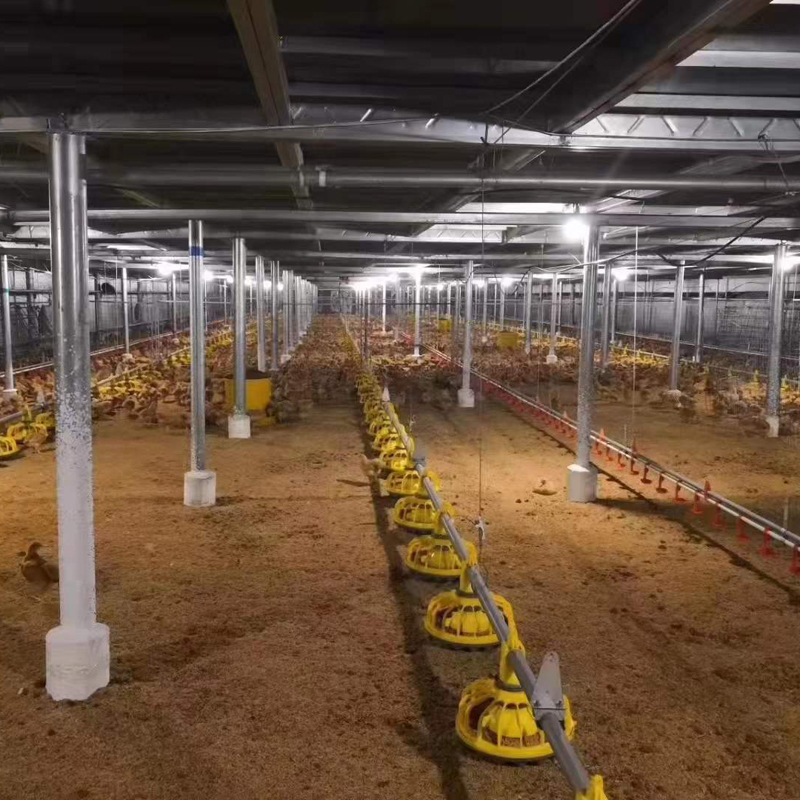 自动化养殖设备 自动上料设备 养鸡养鸡鸭猪料线 全自动平养料线 塑鑫2