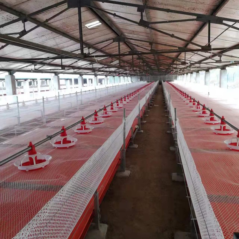 自动化养殖设备 自动上料设备 养鸡养鸡鸭猪料线 全自动平养料线 塑鑫